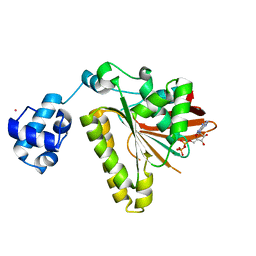 AU of 1z4b by Molmil