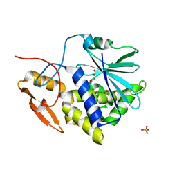 AU of 1zam by Molmil