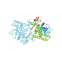 BU of 1zb7 by Molmil