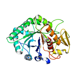 BU of 1zbv by Molmil