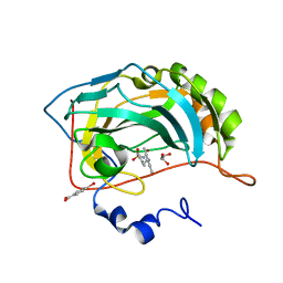 BU of 1ze8 by Molmil