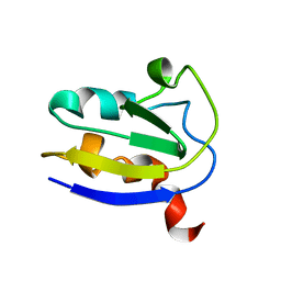 AU of 1zer by Molmil