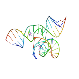 BU of 1zft by Molmil