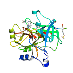 BU of 1zgi by Molmil