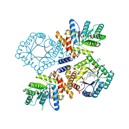 BU of 1zp4 by Molmil