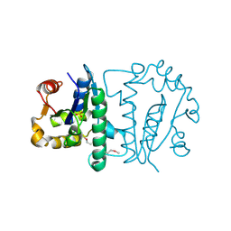 BU of 1zp6 by Molmil