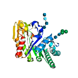 AU of 1zu6 by Molmil