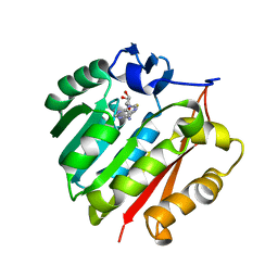 AU of 1zx0 by Molmil