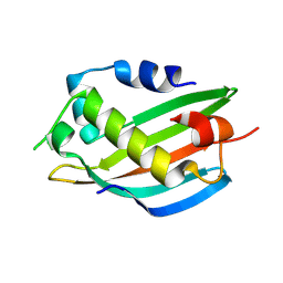 BU of 21ip by Molmil