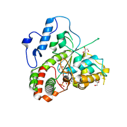 BU of 22ga by Molmil
