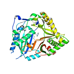 BU of 22it by Molmil