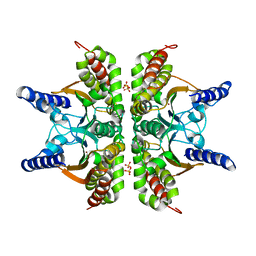 BU of 2a8c by Molmil