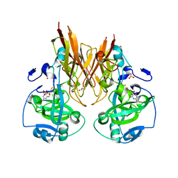 BU of 2a9c by Molmil
