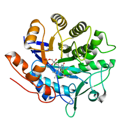 BU of 2abb by Molmil