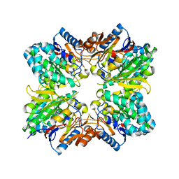 BU of 2aci by Molmil