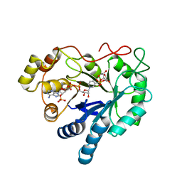 BU of 2acq by Molmil