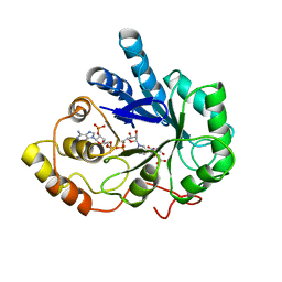 BU of 2acs by Molmil