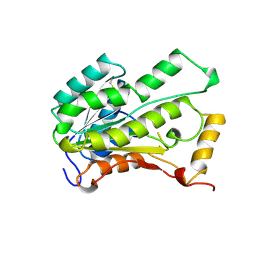 BU of 2ae1 by Molmil