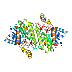 BU of 2ae2 by Molmil