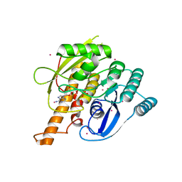 BU of 2ajp by Molmil