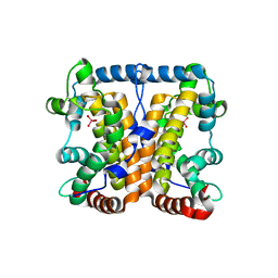 BU of 2akc by Molmil