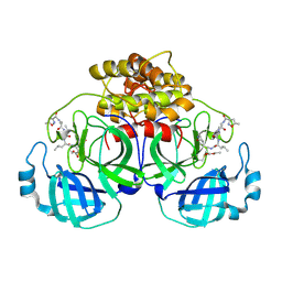 BU of 2amp by Molmil