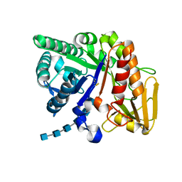 AU of 2anf by Molmil