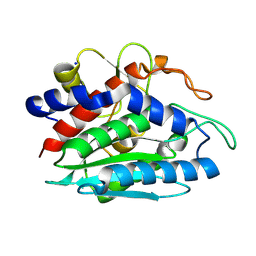 BU of 2anp by Molmil