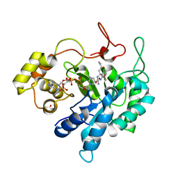 AU of 2ao0 by Molmil