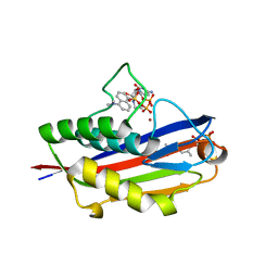 AU of 2ao4 by Molmil