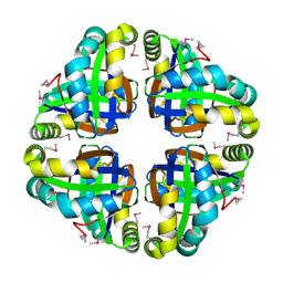 BU of 2ap6 by Molmil