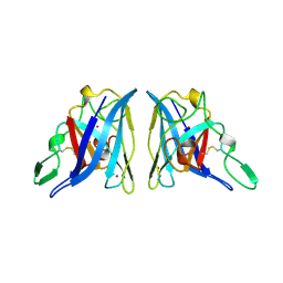 BU of 2aps by Molmil