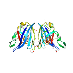 BU of 2aqp by Molmil