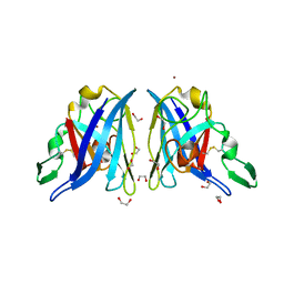 BU of 2aqp by Molmil