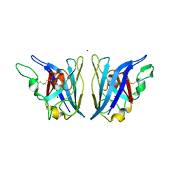 BU of 2aqr by Molmil