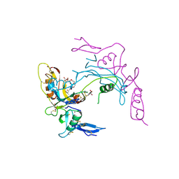 BU of 2arp by Molmil