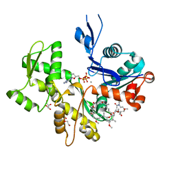 BU of 2asm by Molmil