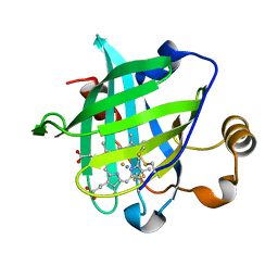 AU of 2asz by Molmil