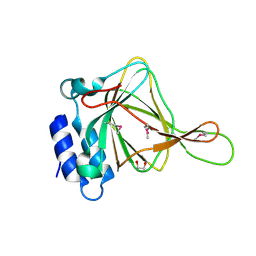 BU of 2atf by Molmil