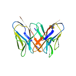 BU of 2atp by Molmil