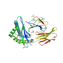 BU of 2av1 by Molmil