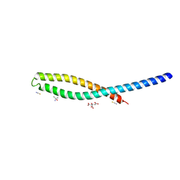 AU of 2avr by Molmil