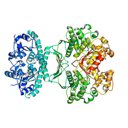 AU of 2b0w by Molmil