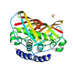 AU of 2b3n by Molmil