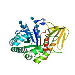 AU of 2b40 by Molmil