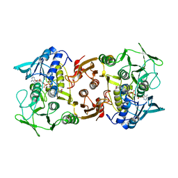 BU of 2bc1 by Molmil