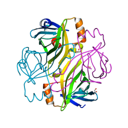 BU of 2bc3 by Molmil