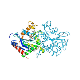 BU of 2bc9 by Molmil