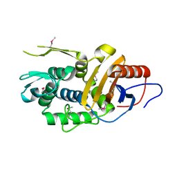 AU of 2bcf by Molmil