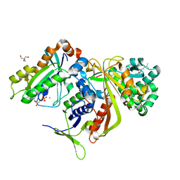 BU of 2bcg by Molmil